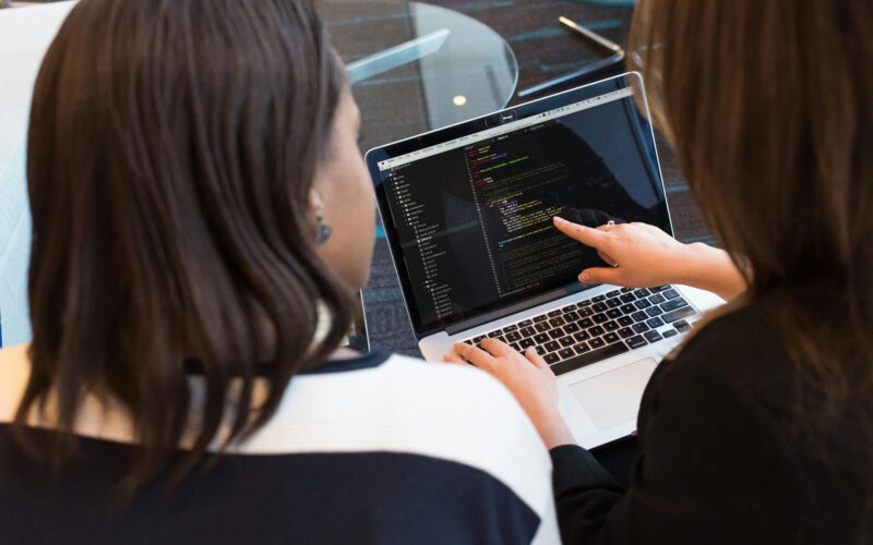 Ultimate Guide to Software Consulting