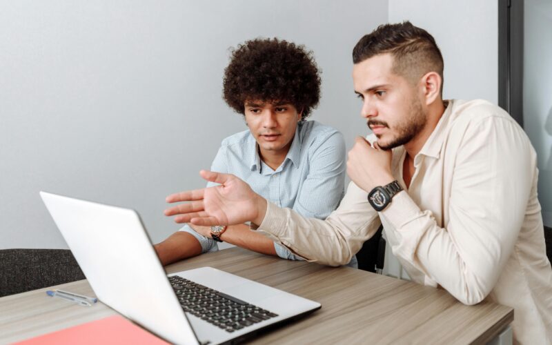 Reasons Why Software Projects Thrive